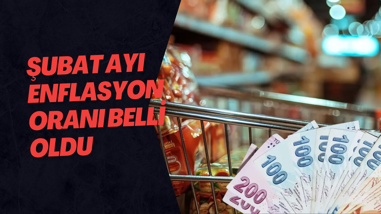 Şubat Ayı Enflasyon Oranı Belli Oldu