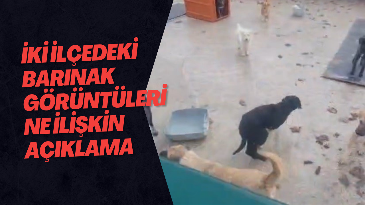 İki İlçedeki Barınak Görüntülerine İlişkin Açıklama