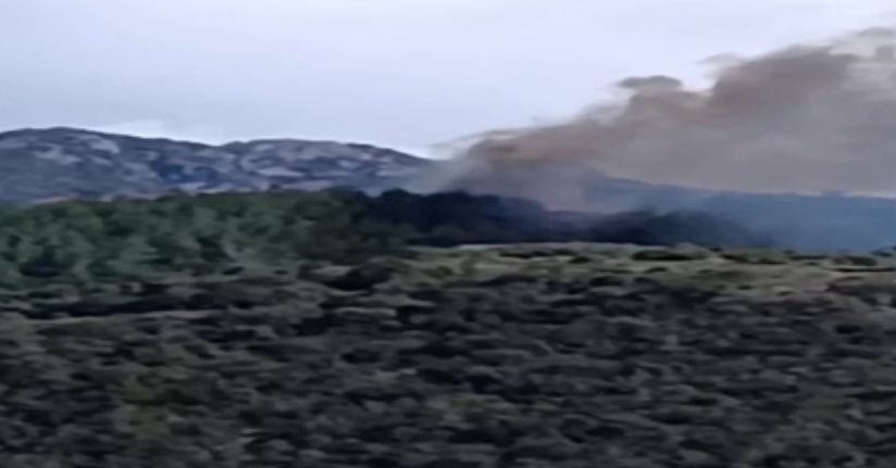 Osmaniye'de orman yangını