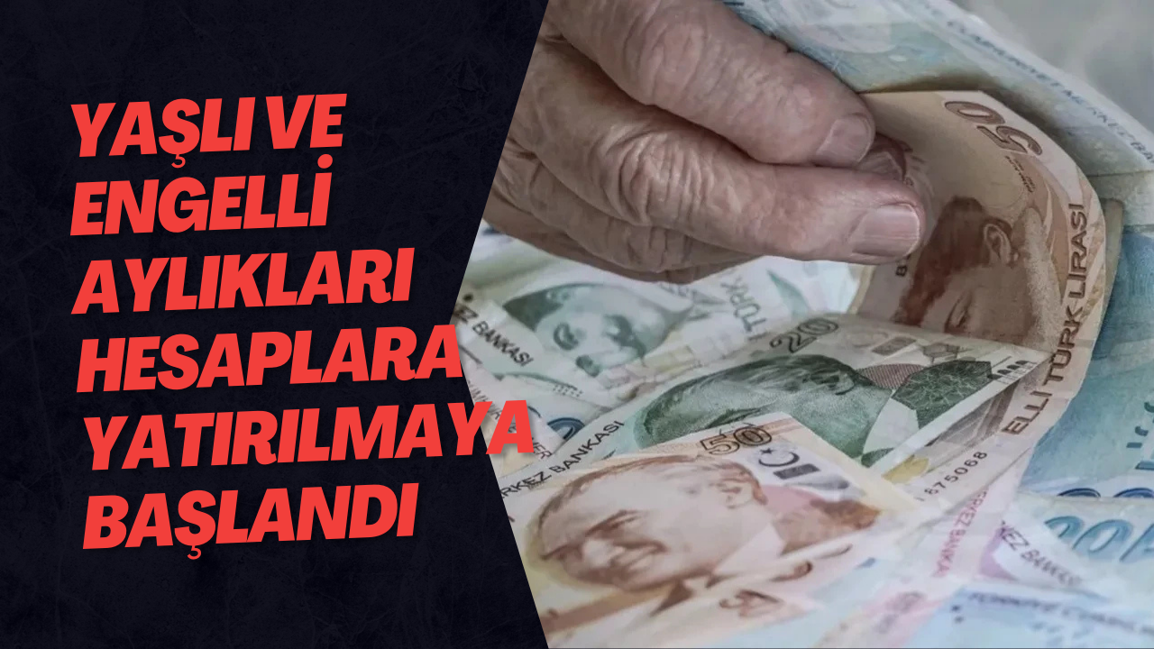 Mart Ayı Yaşlı Ve Engelli Aylıkları Hesaplara Yatırılmaya Başlandı