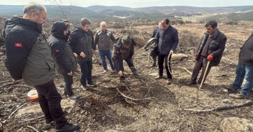 Yangında 10 şehidin verildiği ormanda yeniden ağaçlandırma çalışması başlatıldı