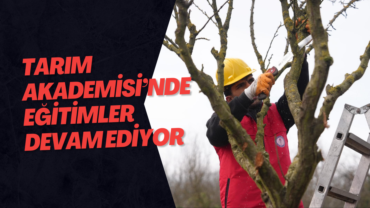 Tarım Akademisi’nde Eğitimler Devam Ediyor
