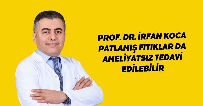 Prof. Dr. İrfan Koca: 