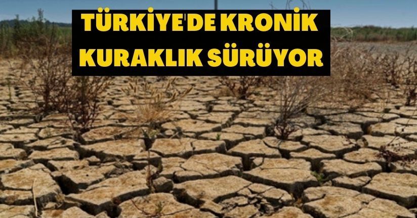 Türkiye'de kronik kuraklık sürüyor