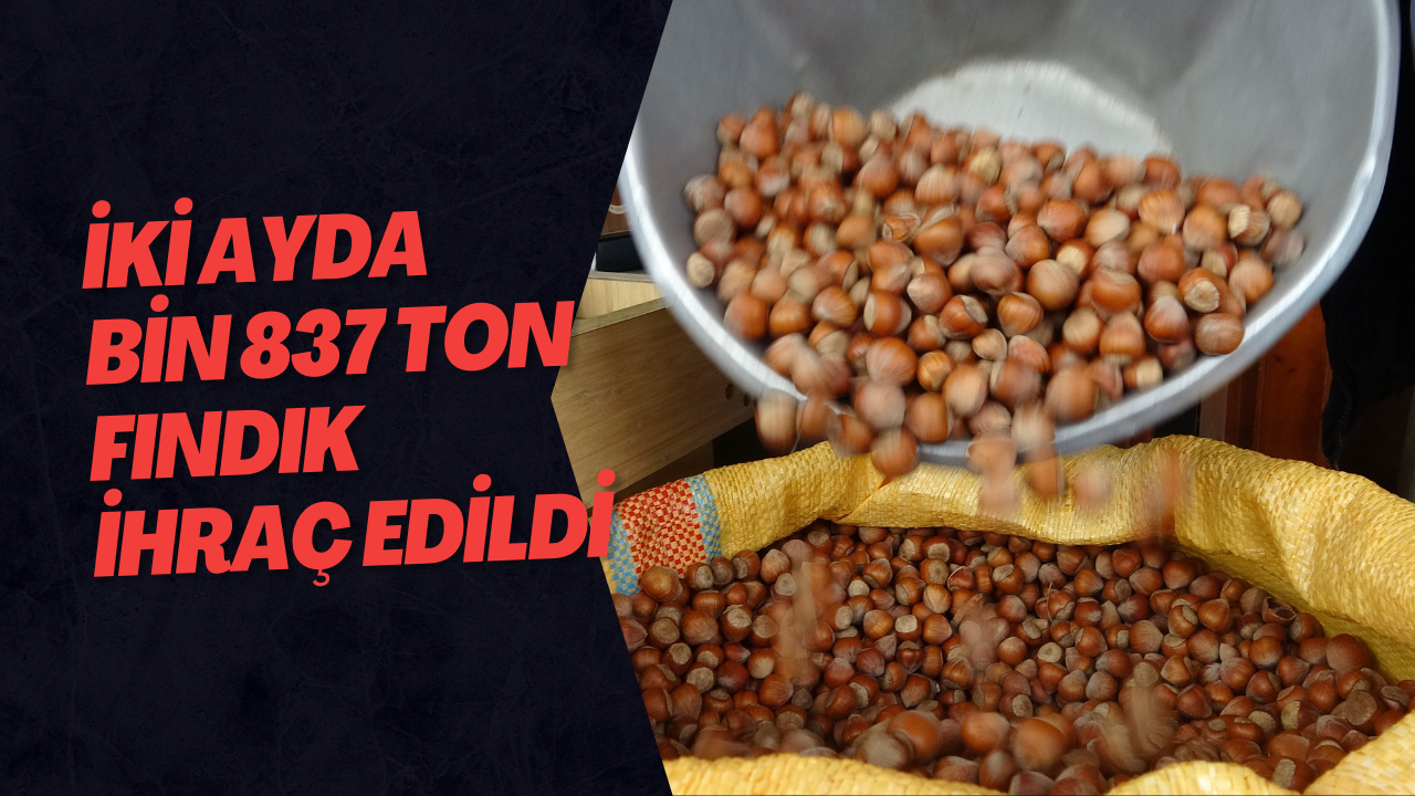 İki Ayda Bin 837 Ton Fındık İhraç Edildi