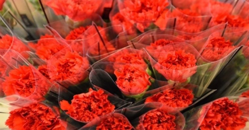'8 Mart'ta kırmızı karanfil yoğun talep görüyor