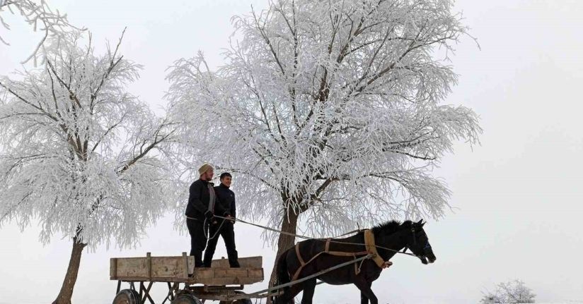 Türkiye’de en düşük sıcaklık eksi 20 dereceyle Bayburt’ta ölçüldü