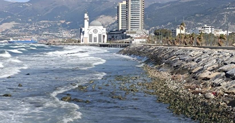İskenderun Körfezi’nde denizde çekilme yaşandı