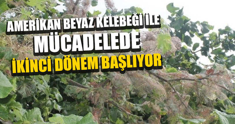 Düzce’de
