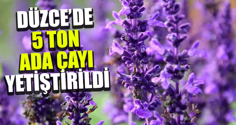 Düzce Türkiye’de Yedinci Sırada Yer Aldı