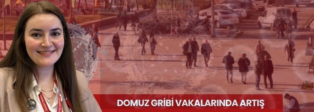 Domuz Gribi Vakalarında Artış