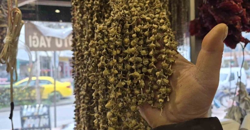 Fiyatıyla dikkat çeken kurutulmuş bamya 3 bin 500 TL’ye satılıyor