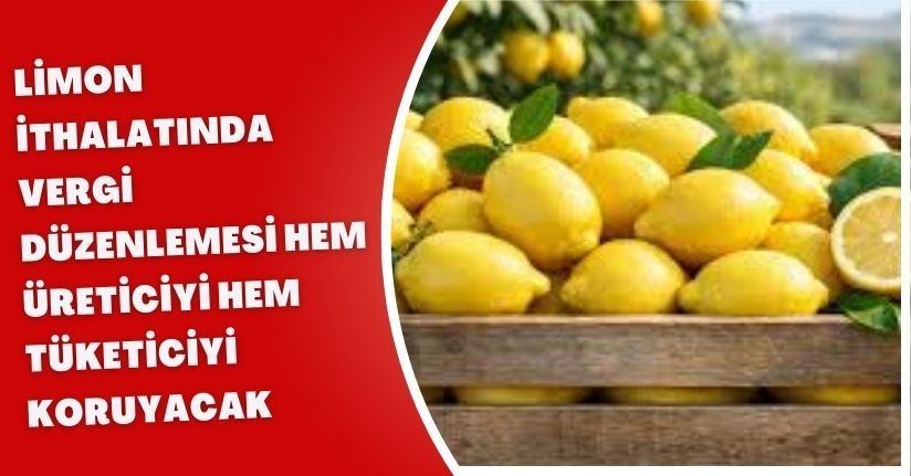 Limon ithalatında vergi düzenlemesi hem üreticiyi hem tüketiciyi koruyacak