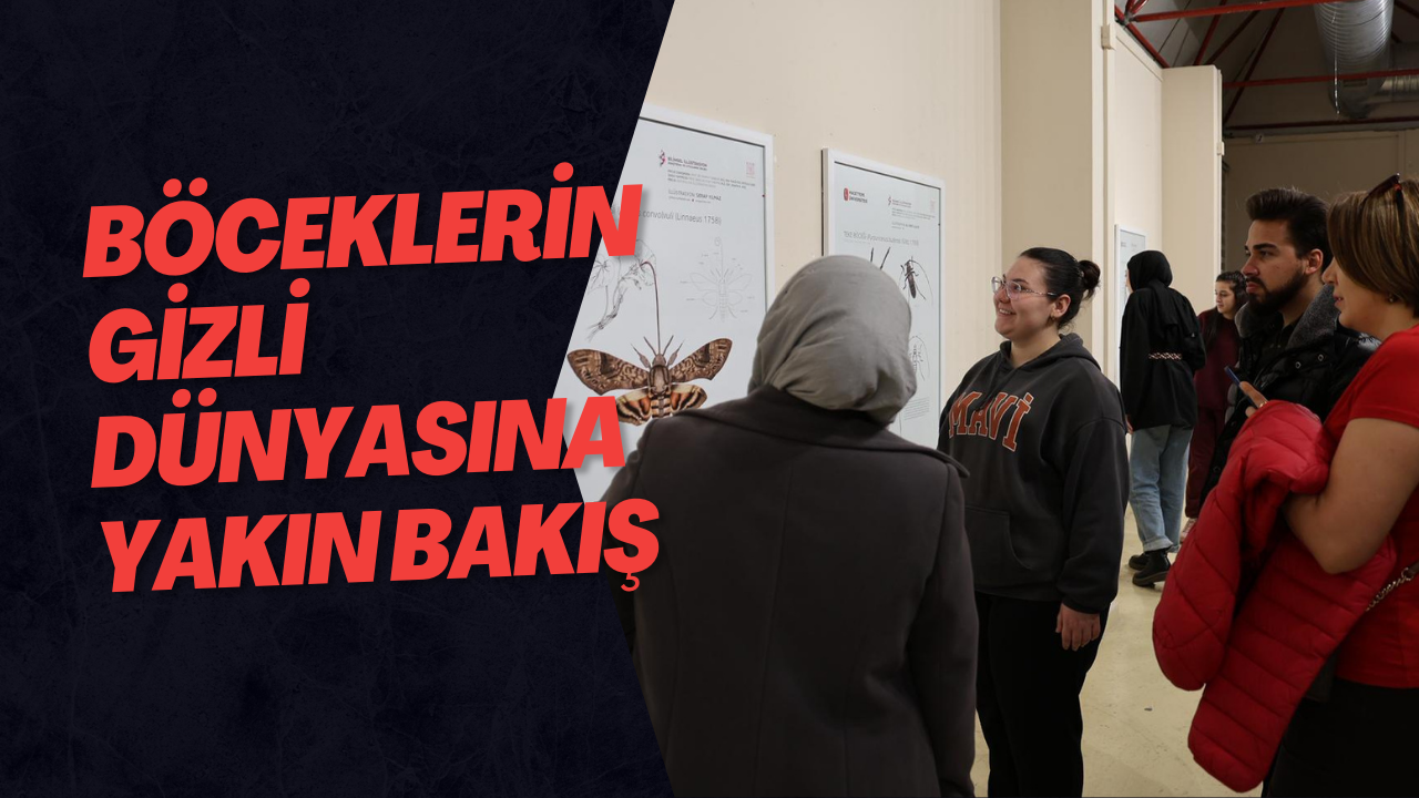 Böceklerin Gizli Dünyasına Yakın Bakış