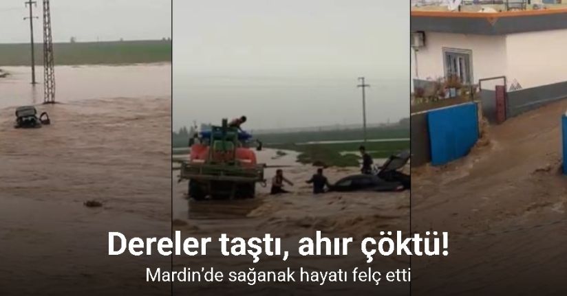 Mardin’de sağanak hayatı felç etti: Dereler taştı, ahır çöktü