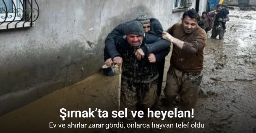 Şırnak’ta sel ve heyelan: Ev ve ahırlar zarar gördü