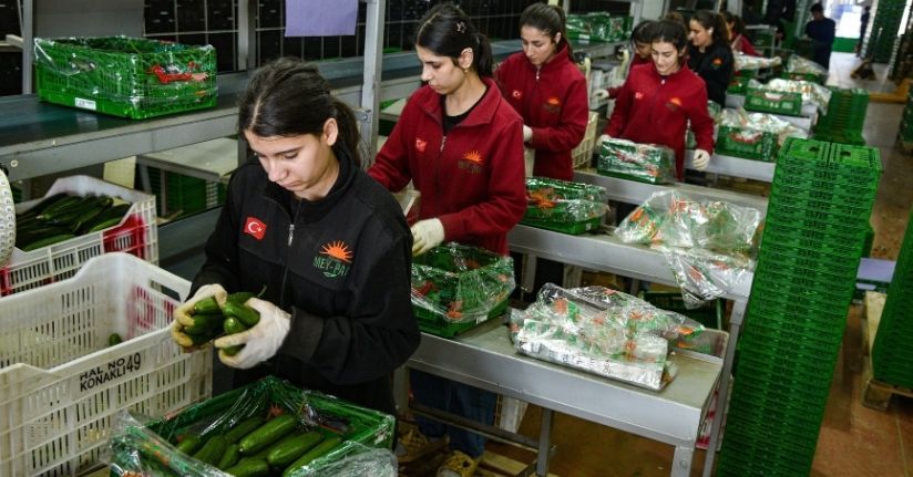 İran savaşı sonrası Türkiye'den Rusya'ya sebze ihracatı artt