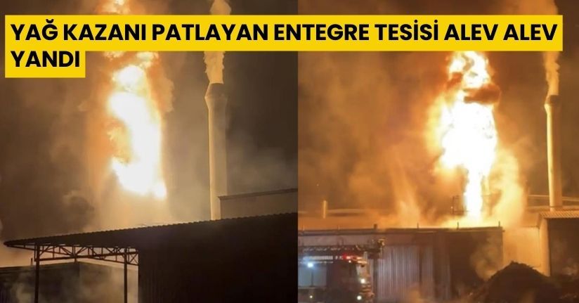 Yağ kazanı patlayan entegre tesisi alev alev yandı