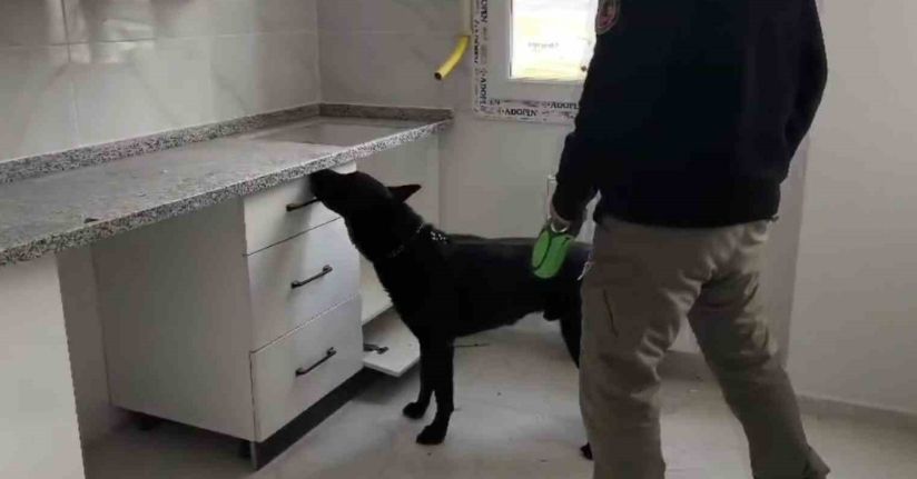 72 bin extacy yakalatıp 