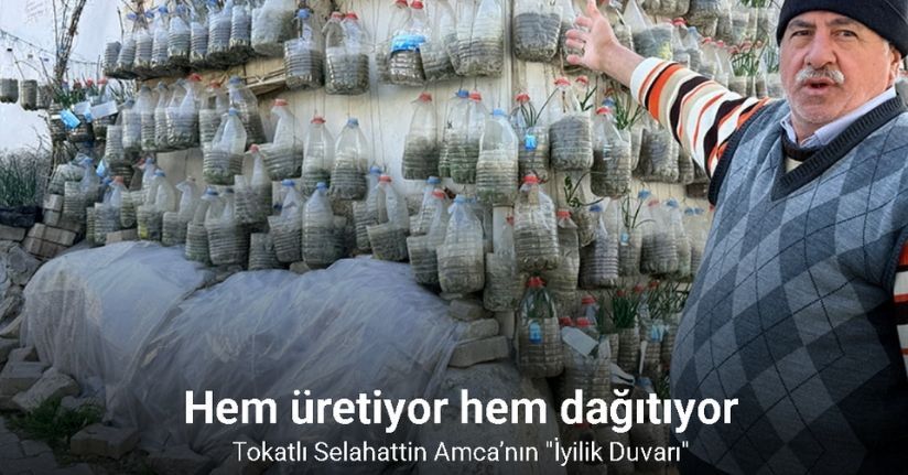 Bahçede yetiştiremeyince çözümü evinin duvarında buldu