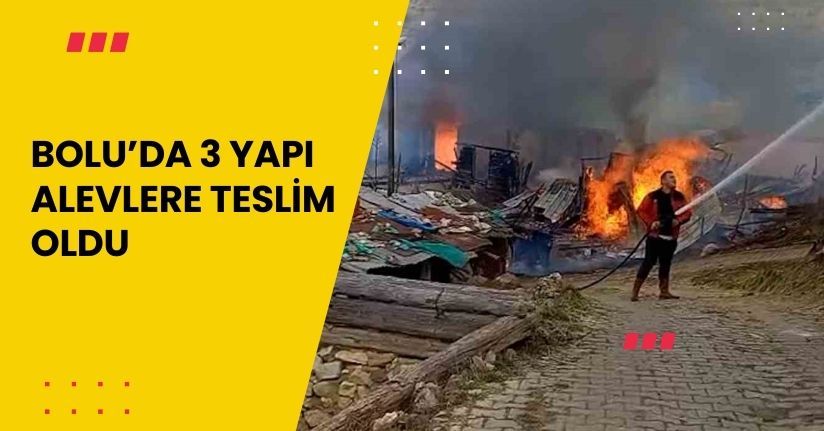 Bolu’da 3 yapı alevlere teslim oldu