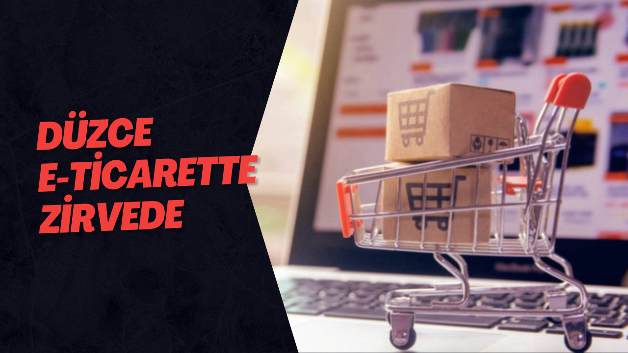 Düzce E-Ticarette Zirvede