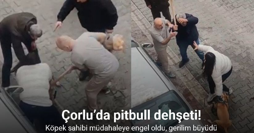 Çorlu’da pitbull dehşetinde yeni görüntüler: Köpek sahibi müdahaleye engel oldu, gerilim büyüdü