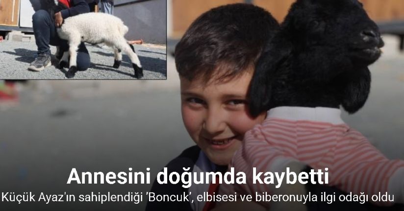 Annesi doğumda telef olan ’Boncuk’ kuzu, elbisesi ve biberonuyla ilgi odağı oldu