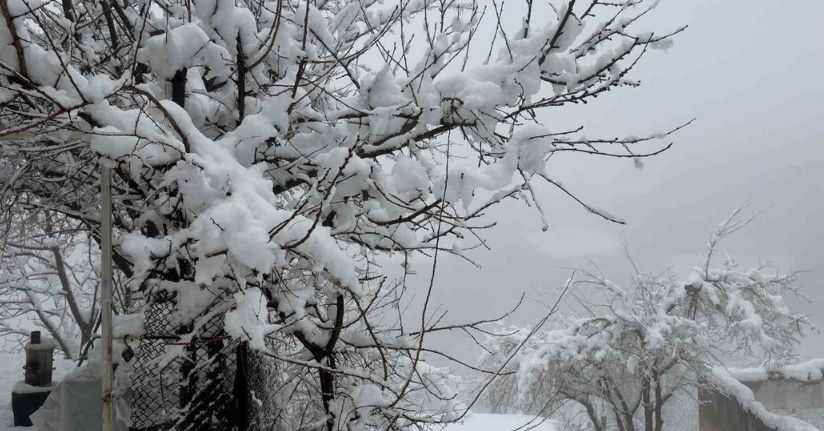 Hakkari’de 82 yerleşim yerinin yolu kapandı