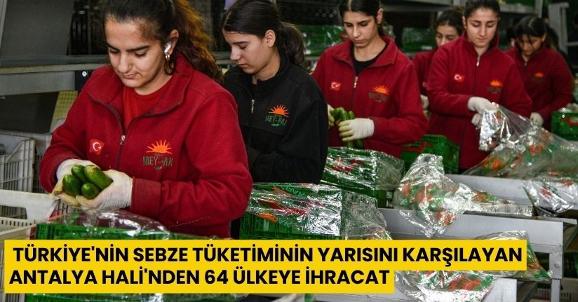 Türkiye'nin sebze tüketiminin yarısını karşılayan Antalya Hali'nden 64 ülkeye ihracat