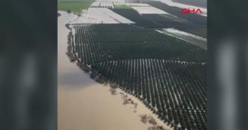 Adana’da tarım arazileri su altında kaldı; ‘Üreticiler yeniden ekim yapacak’