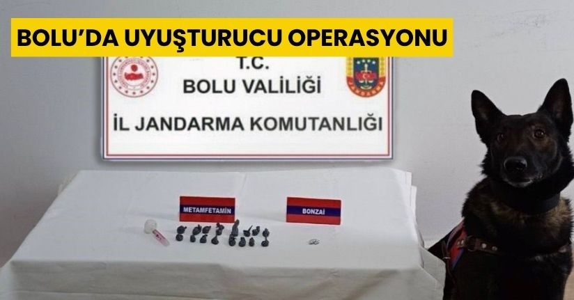 Bolu’da uyuşturucu operasyonu
