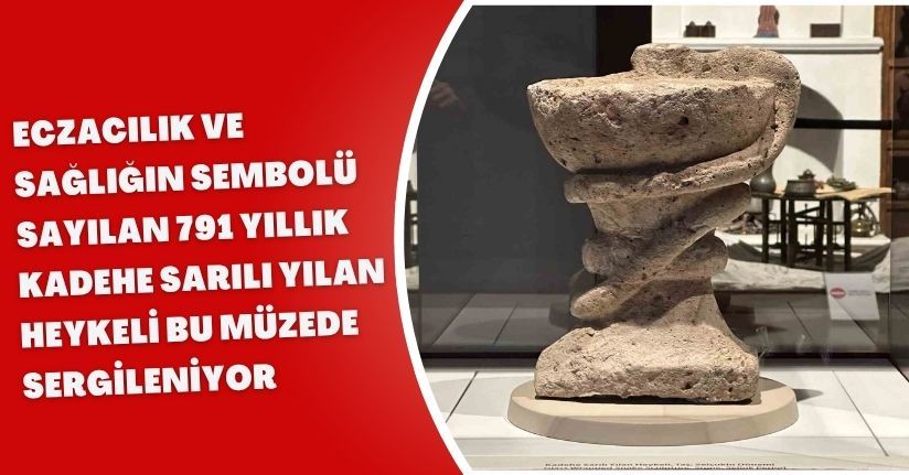Eczacılık ve sağlığın sembolü sayılan 791 yıllık kadehe sarılı yılan heykeli bu müzede sergileniyor