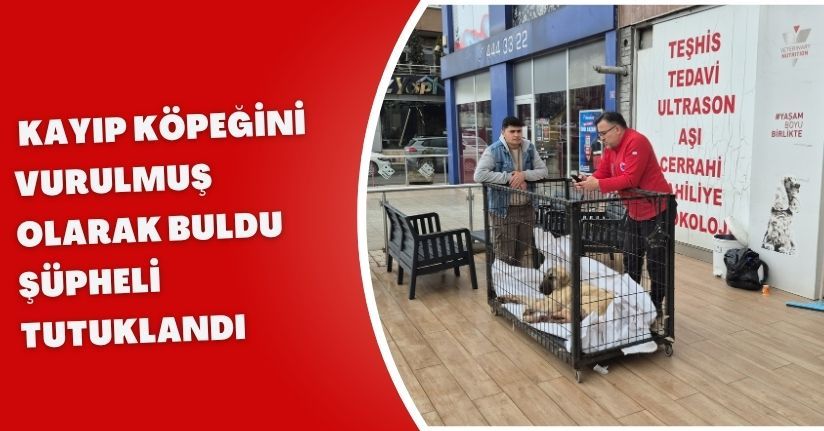  Kayıp köpeğini vurulmuş olarak buldu; şüpheli tutuklandı