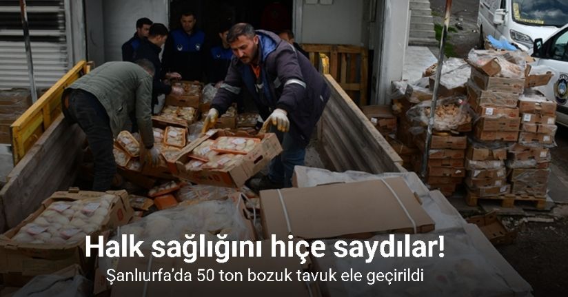 Şanlıurfa’da 50 ton bozuk tavuk ele geçirildi