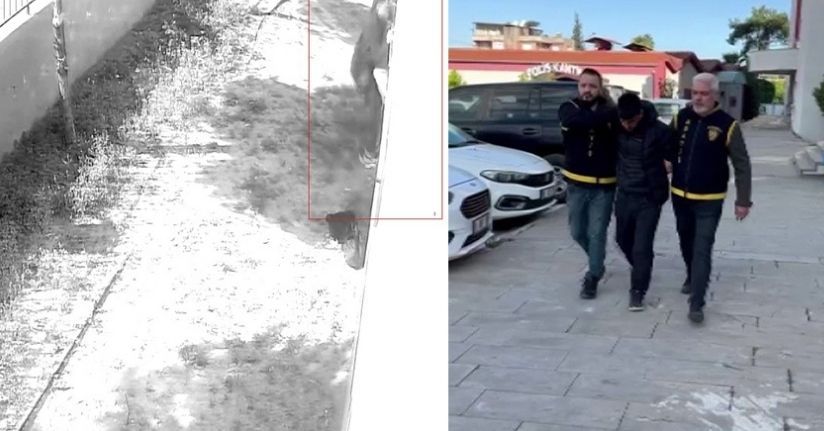 Apartman dairesine tırmanıp girdi, dizüstü bilgisayar çaldı