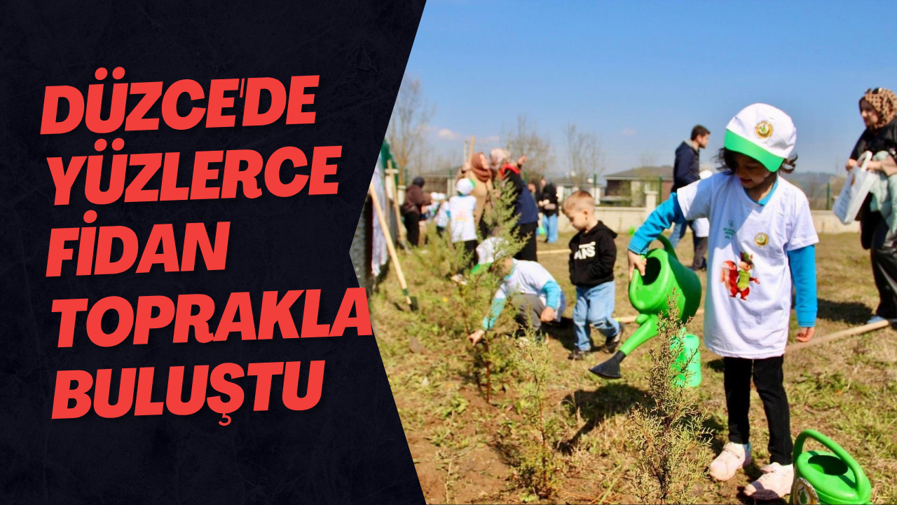 Düzce'de Yüzlerce Fidan Toprakla Buluştu