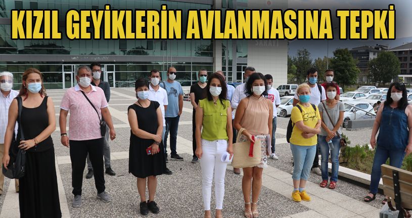 Bolu’da 16 kızıl geyiğin ihaleyle avlanılmasına hayvanseverlerden tepki