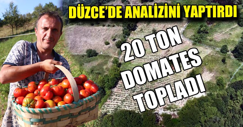 Ürettiği domateslerin tohumlarını gençlere ücretsiz verecek
