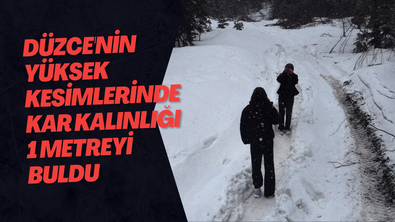 Düzce'nin Yüksek Kesimlerinde Kar Kalınlığı 1 Metreyi Buldu