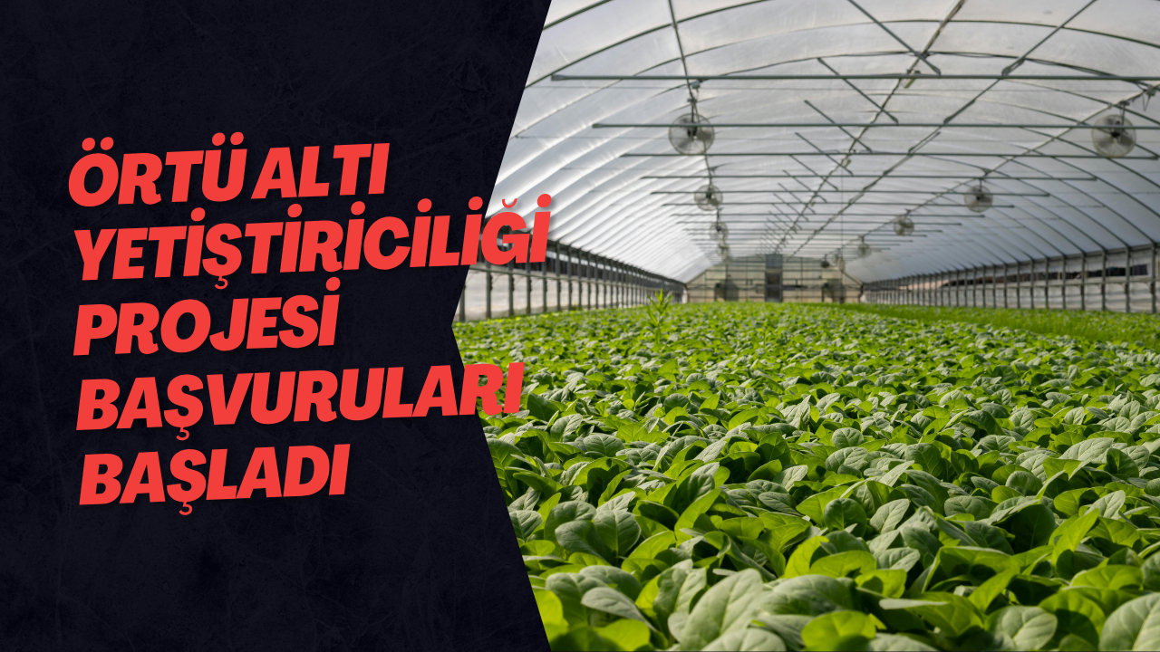 Örtü Altı Yetiştiriciliği Projesi Başvuruları Başladı