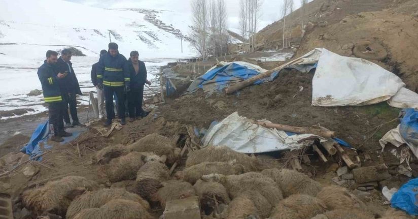 Van’da ahır çöktü, 23 küçükbaş hayvan telef oldu