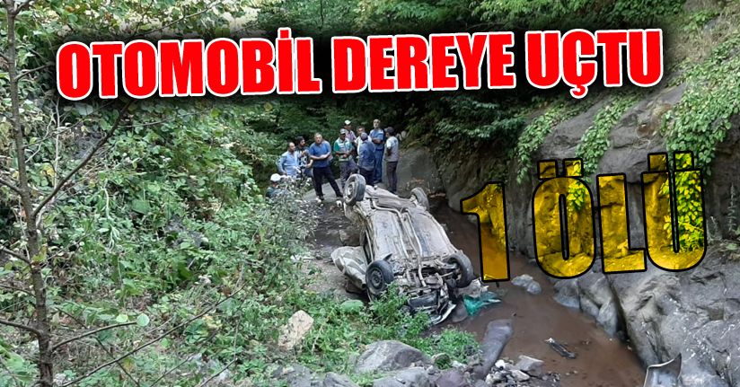 Kontrolden çıkan otomobil dere yatağına uçtu: 1 ölü, 2 yaralı