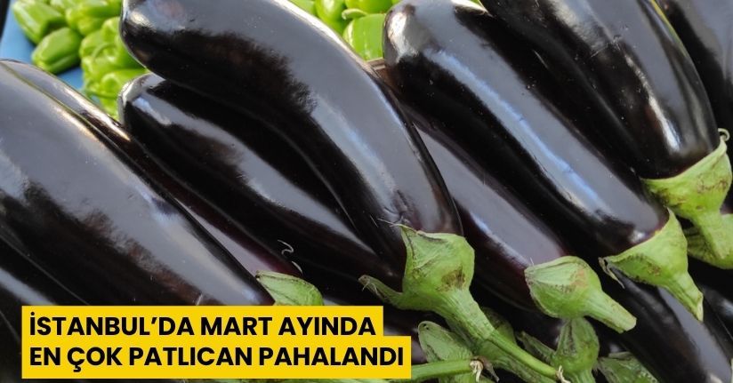 İstanbul’da Mart ayında en çok patlıcan pahalandı