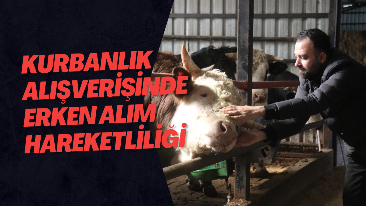 Kurbanlık Alışverişinde Erken Alım Hareketliliği