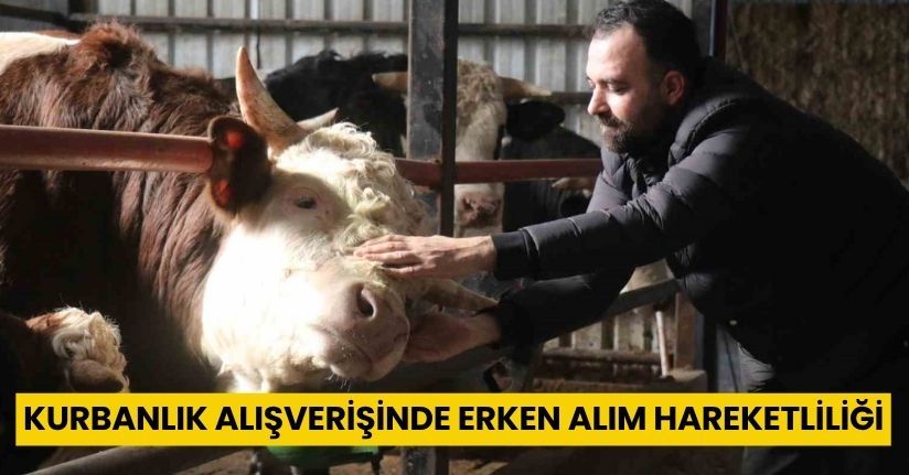 Kurbanlık alışverişinde erken alım hareketliliği