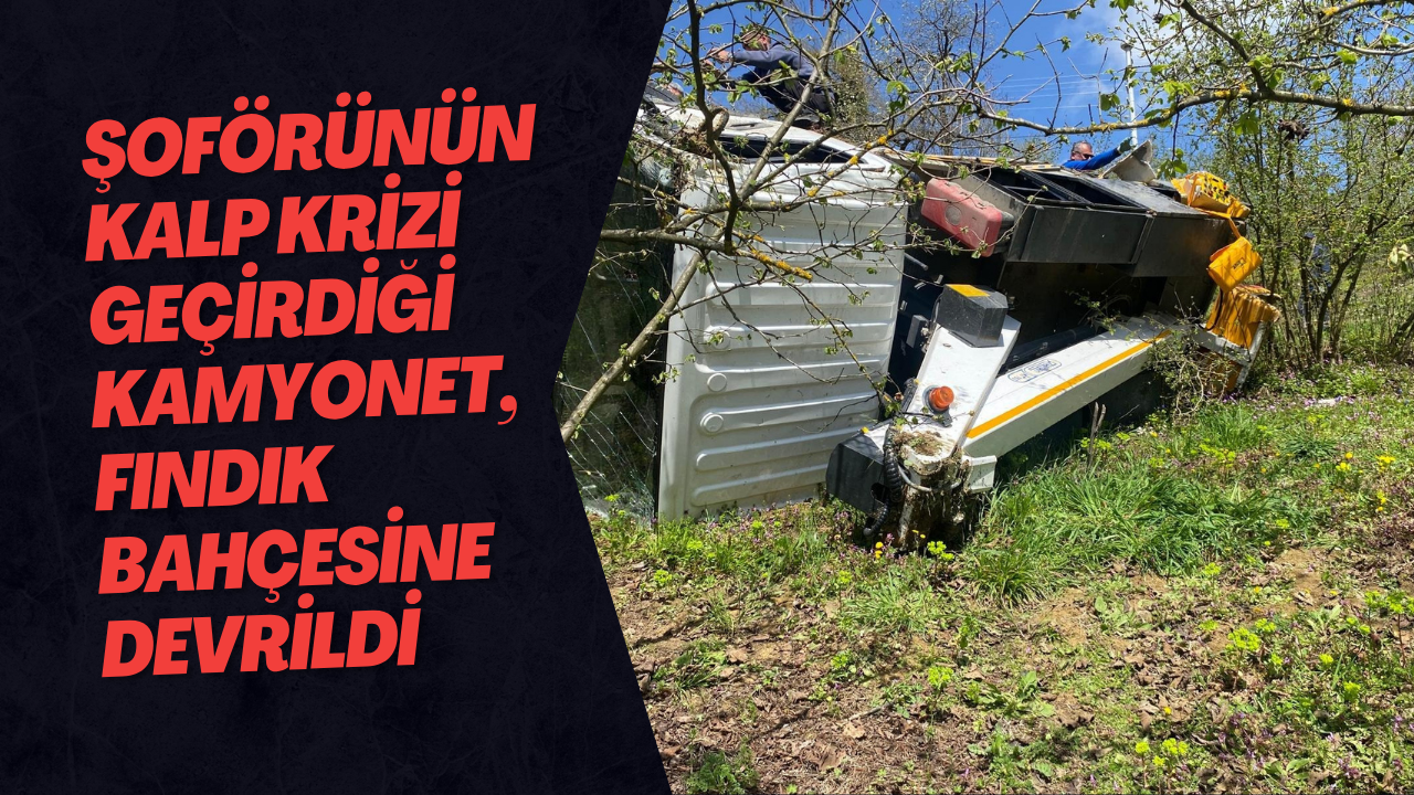 Şoförünün Kalp Krizi Geçirdiği Kamyonet, Fındık Bahçesine Devrildi