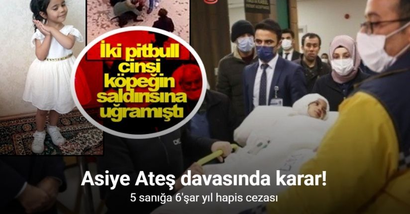 Gaziantep’te 4 yaşındaki Asiye Ateş’e pitbull saldırısı davasında karar