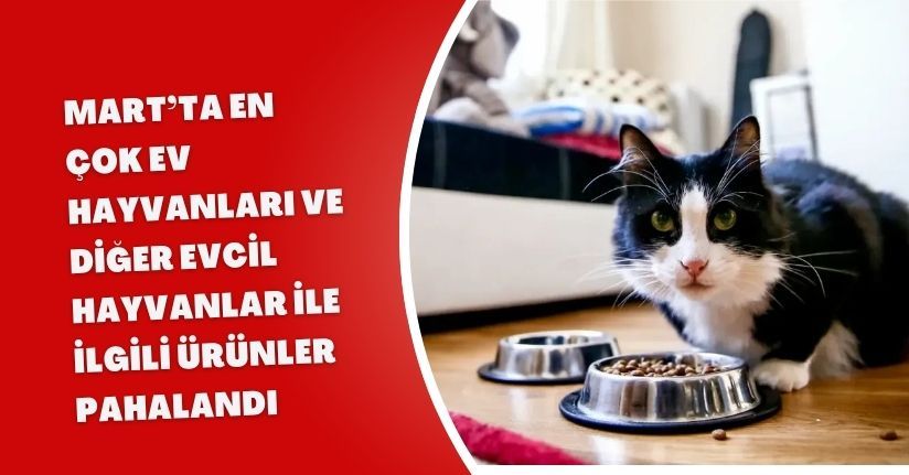 Mart’ta en çok ev hayvanları ve diğer evcil hayvanlar ile ilgili ürünler pahalandı