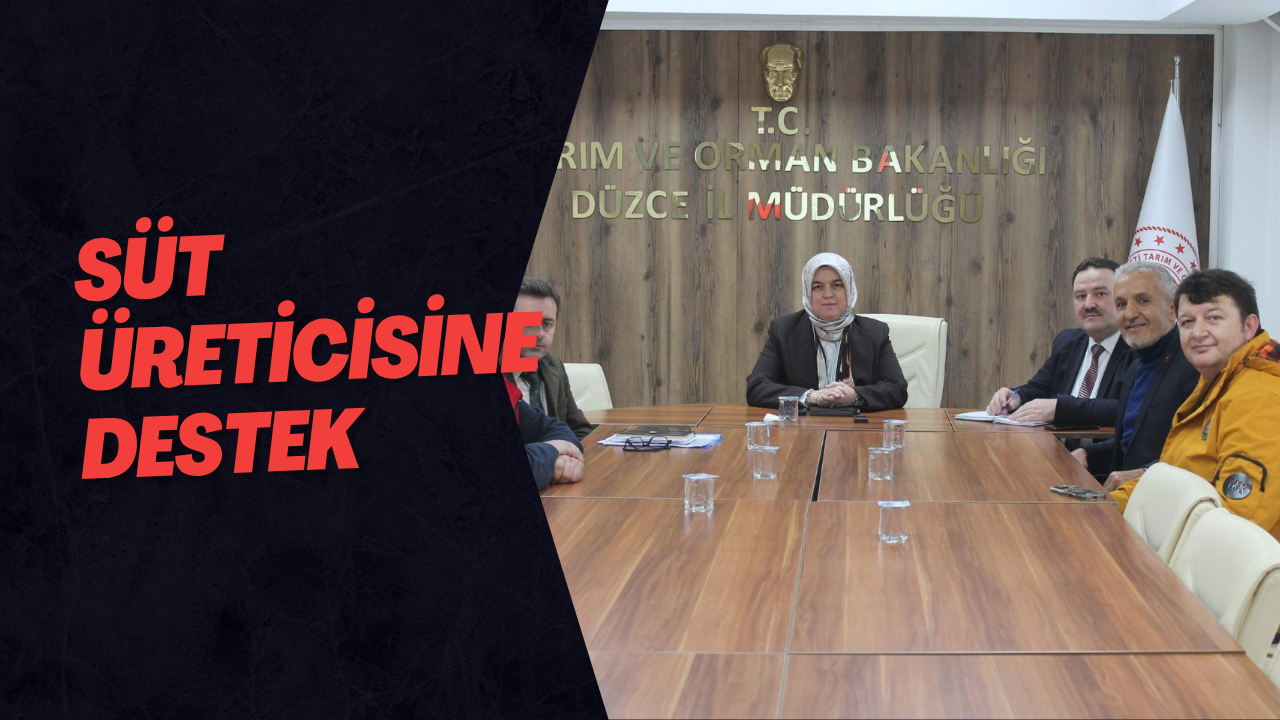 Süt Üreticisine Destek